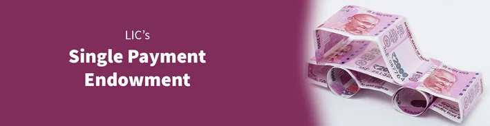 Single Payment Endowment